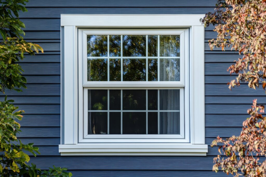 WINDOWS